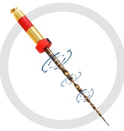 اندودنتيکس